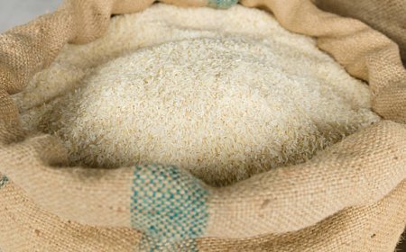 Top Rice Exporters in India for Global Quality and Supply