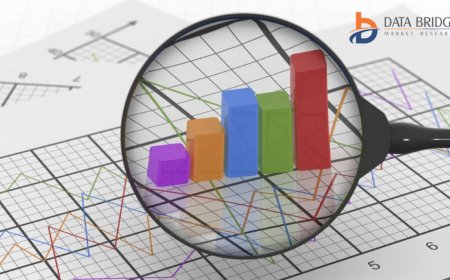 U.S. Pet Accessories Market: Insights, Key Players, and Growth Analysis 2024 –2031