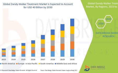 Dandy-Walker Treatment Market Overview: Trends, Challenges, and Forecast 2023 –2030