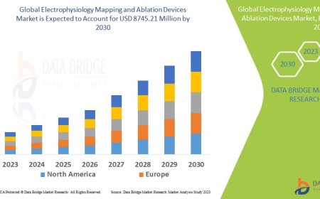 Electrophysiology Mapping and Ablation Devices Market: Size, Share, and Future Growth 2023 –2030