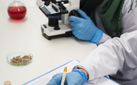 NIPT Test in Dubai – A Practical Guide for Expecting and Planning Parents