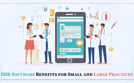 EHR Software Benefits for Small and Large Practices