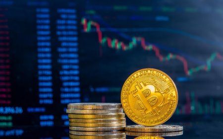 Automated vs. Manual Crypto Calculations: Which is Better?