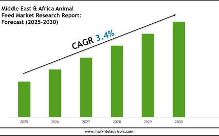 Middle East & Africa Animal Feed Market Size & Share 2030 Key Trends & Projections