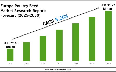 Europe Poultry Feed Market Overview 2025–2030: Demand & Future Trends