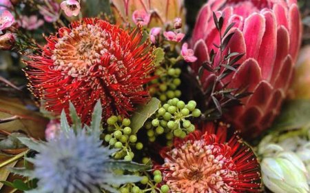 The Art of Modern Floral Styling by Viewbank Florists