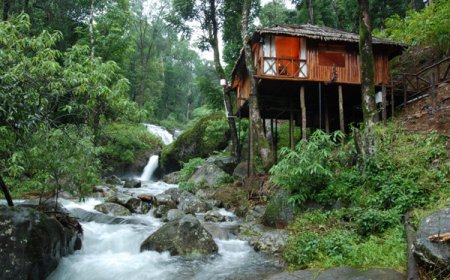 Explore Nature with the Best Coorg Tour Packages