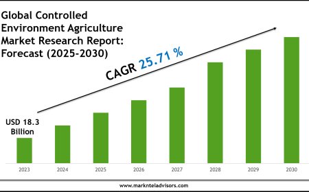 Controlled Environment Agriculture Market Size & Share 2030 Key Trends & Projections