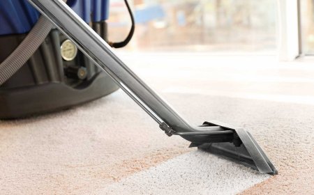 Professional Carpet Cleaning Denver, CO