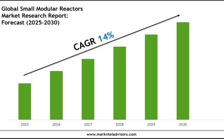Small Modular Reactors Industry Trends & Forecast: Market Outlook to 2030