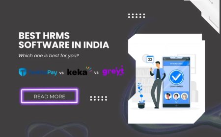 Why HR Software is Becoming Essential Now-a-days