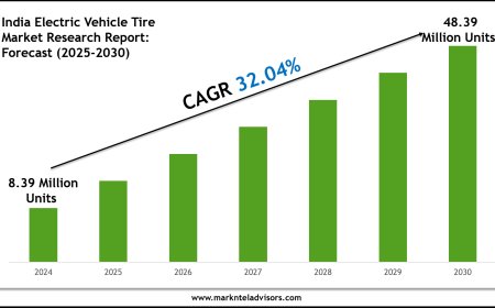 India Electric Vehicle Tire Industry Trends & Forecast: Market Outlook to 2030