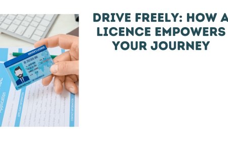 Drive Freely: How a Licence Empowers Your Journey