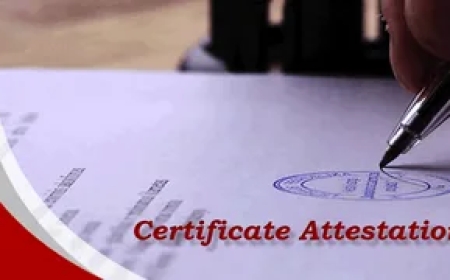 Everything You Need to Know About Certificate Attestation for UAE