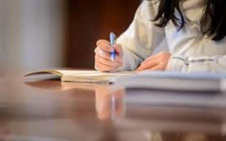Redefining Academic Excellence: The Role of BSN Writing Services in Contemporary Nursing Education