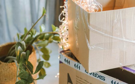 How Professional House Removalists Simplify Your Move