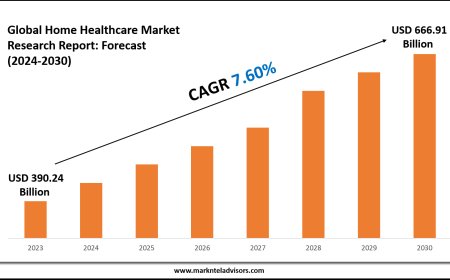 Home Healthcare Market Report 2024–2030: Demand, Value & Share Outlook