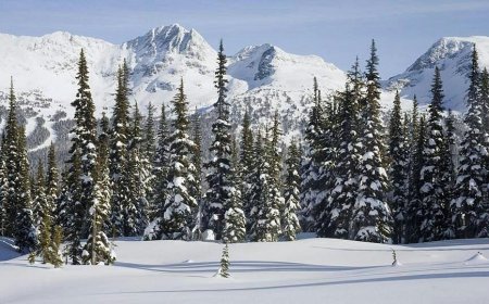 Perfect Srinagar Gulmarg Pahalgam Sonmarg Itinerary Guide
