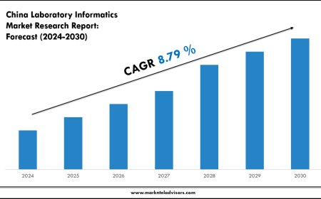 China Laboratory Informatics Market Intelligence Report: 2024–2030 Forecast & Trends
