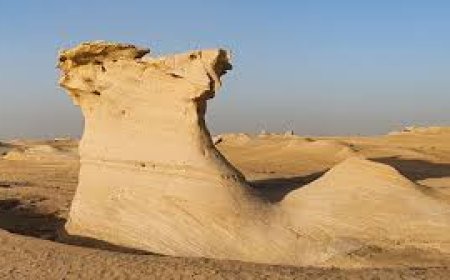 Explore the Ancient Wonders of Abu Dhabi’s Fossil Dunes