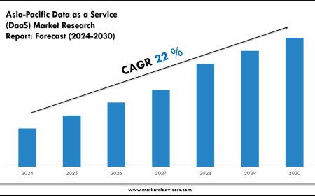 Asia-Pacific Data as a Service (DaaS) Market Key Players, Trends and Forecast Report 2030