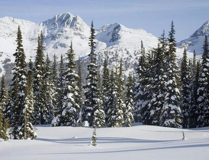 Perfect Srinagar Gulmarg Pahalgam Sonmarg Itinerary Guide